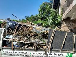 Best Moving and Downsizing Cleanouts  in Russellville, KY